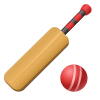 Cricket